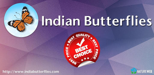 Indian Butterflies PC screenshot