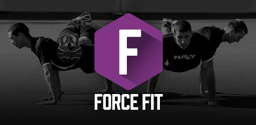 Force Fit PC screenshot