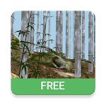 Bamboo Forest 3D Live Wallpaper Free icon