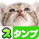 Cat Stickers Free icon