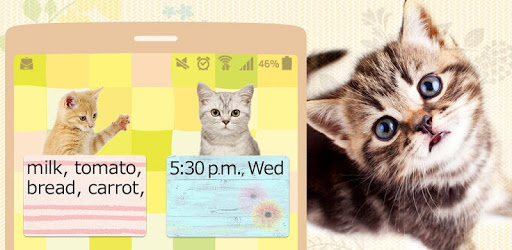 Cats Sticky mine PC screenshot Cats Sticky mine PC screenshot
