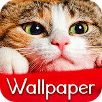 Wallpaper Cat Collection icon