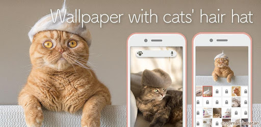 Wallpaper: Cats' Hair Hats PC screenshot Wallpaper: Cats' Hair Hats PC screenshot