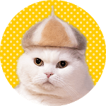 Wallpaper: Cats' Hair Hats icon