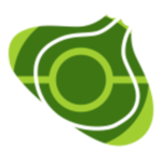 Bulbapedia - Pokémon Wiki icon