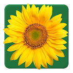 Calflora Observer Pro icon