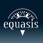 Equasis Mobile for PC