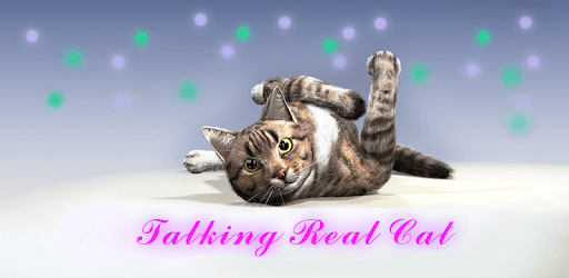 Talking Reality Cat PC screenshot