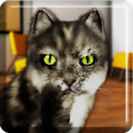 Talking Cat Funny for PC