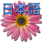 ๐ผ Japanese Dictionary for PC ๐ผ Japanese Dictionary for PC