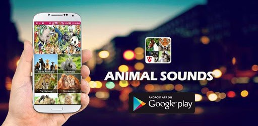 150 Animal Sounds PC screenshot 150 Animal Sounds PC screenshot