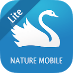 iKnow Birds 2 LITE - Europe for PC