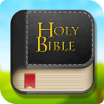 The Holy Bible Offline, Text, Image, Audio Share icon