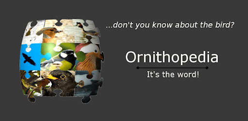 Ornithopedia Europe PC screenshot