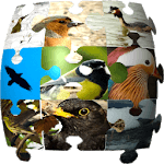 Ornithopedia Europe for PC