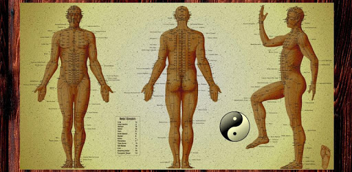 Acupressure Tutorial PC screenshot Acupressure Tutorial PC screenshot