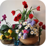 1011 Flowers Live Wallpapers icon
