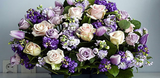 1022 Flowers Live Wallpapers PC screenshot 1022 Flowers Live Wallpapers PC screenshot