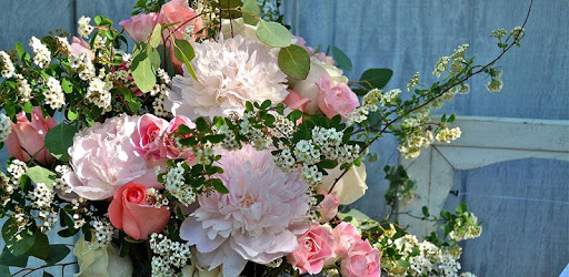 1086 Flowers Live Wallpapers PC screenshot 1086 Flowers Live Wallpapers PC screenshot