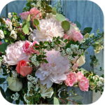 1086 Flowers Live Wallpapers for PC 1086 Flowers Live Wallpapers for PC