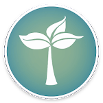 Organic-KWGT for PC