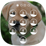 Cute Dog Lock Screen for PC Cute Dog Lock Screen for PC