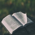 King James Study Bible for PC - Free Download & Install on Windows PC, Mac