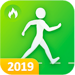 Pedometer for walking - Step Counter for PC