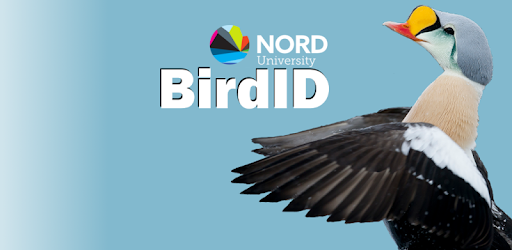 BirdID PC screenshot