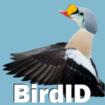 BirdID for PC