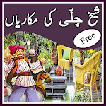 Sheikh Chilli Stories icon