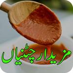 Sauce Recipes/Pakistani Chatnian icon