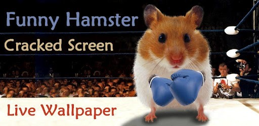 Funny Hamster Cracked Screen PC screenshot