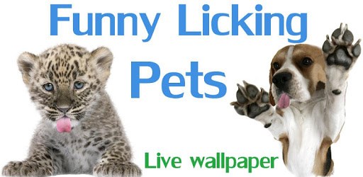 Licking puppy, licking cat PC screenshot Licking puppy, licking cat PC screenshot