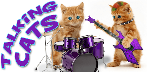 Talking Cats PC screenshot Talking Cats PC screenshot
