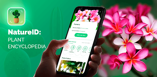 NatureID: Plant Identification PC screenshot NatureID: Plant Identification PC screenshot