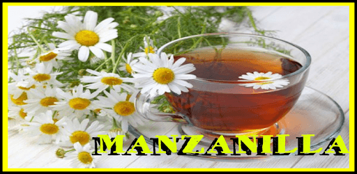 Medicinal healing plants PC screenshot