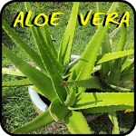 Medicinal healing plants for PC