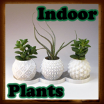Indoor Plants for PC
