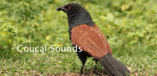 Coucal Sounds ~ Sboard.pro PC screenshot