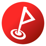 FlagMii icon