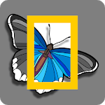 Nat Geo Color WILD for PC Nat Geo Color WILD for PC