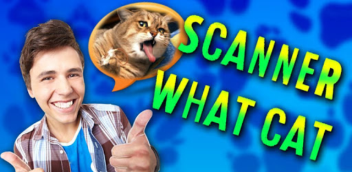 Scanner: What cat? PC screenshot