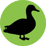 Progressive Duck Decoy icon