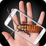 Cockroach 2 Hand Funny Joke for PC