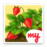 Lucky Fields for PC