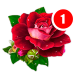 Good morning, wishes and Happy Birthday GIF Images for PC Good morning, wishes and Happy Birthday GIF Images for PC