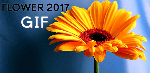 Flower GIF 2017 PC screenshot