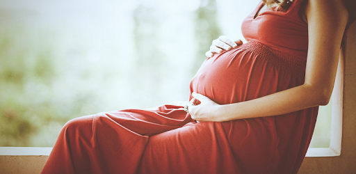 Pregnant. Pregnancy by week. Pregnancy calendar PC screenshot