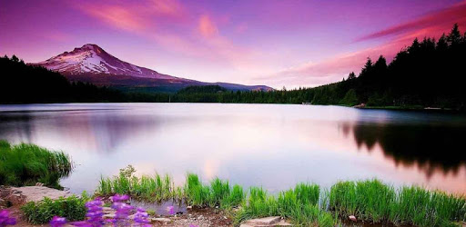 scenery live wallpapers PC screenshot scenery live wallpapers PC screenshot